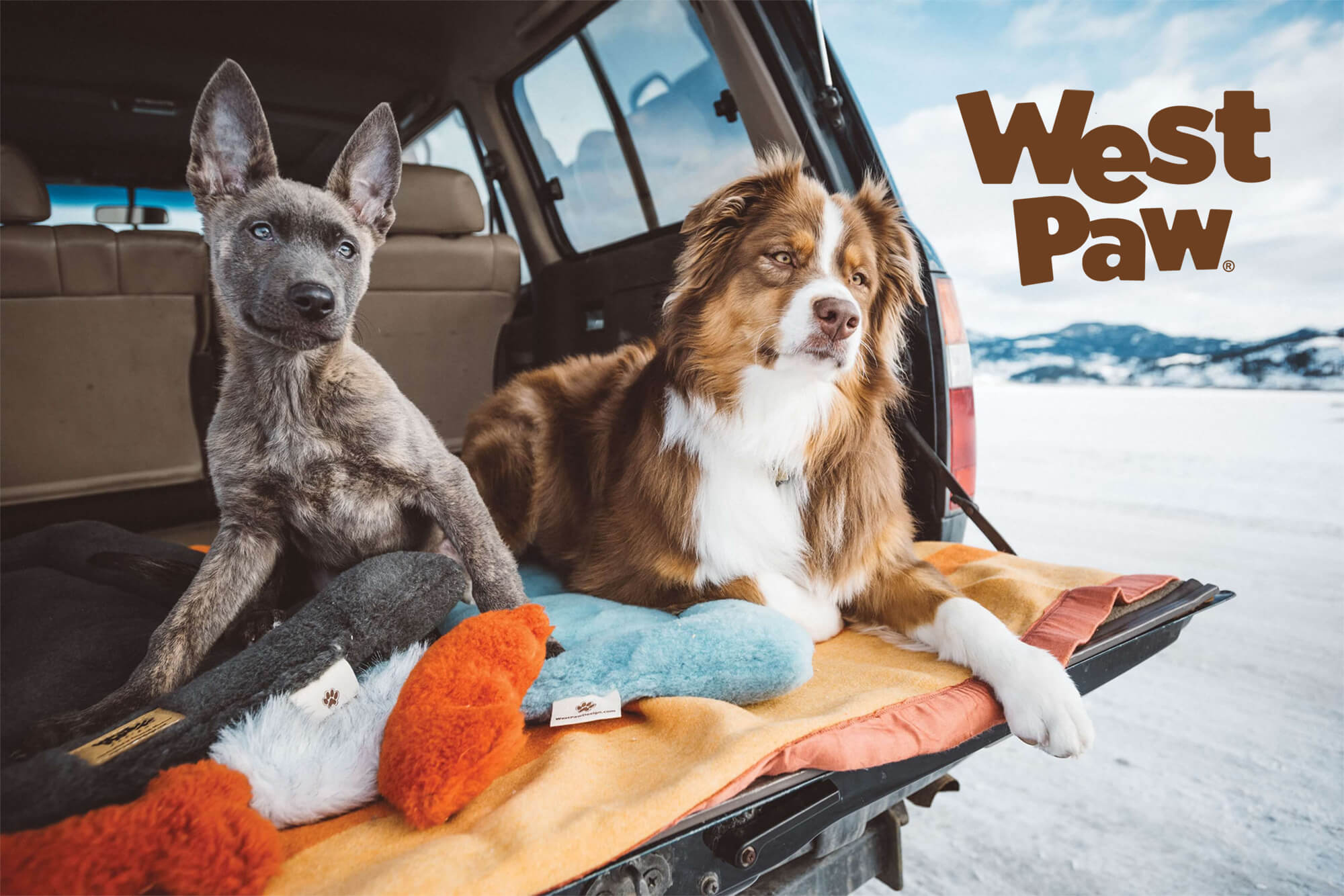 West Paw Ad