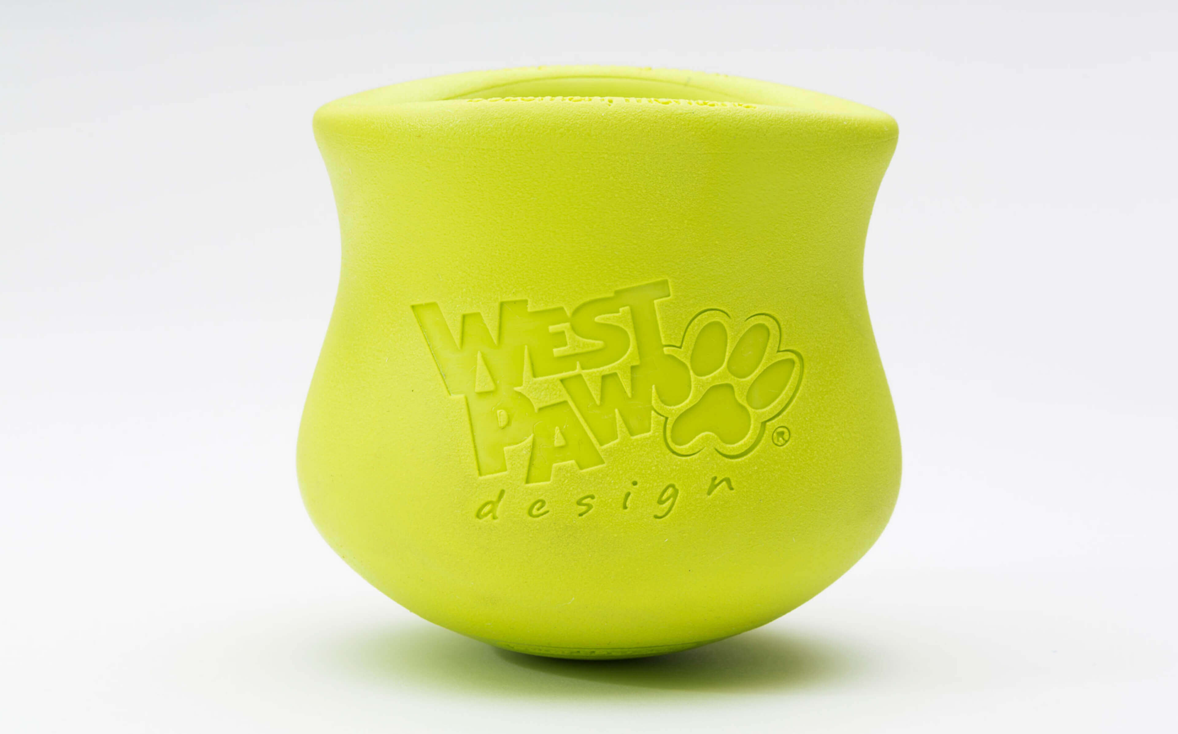 Green Dog Toy